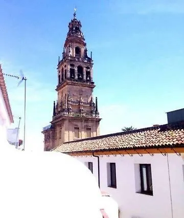 Casa Con Encanto Junto Mezquita Daire *