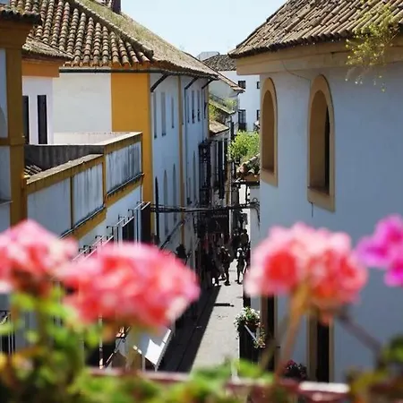 Daire Casa Con Encanto Junto Mezquita
